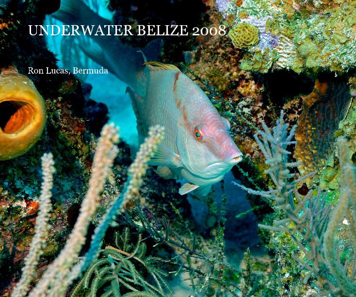 Ver UNDERWATER BELIZE 2008 por Ron Lucas, Bermuda