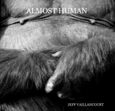ALMOST HUMAN book cover