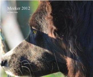 Meeker 2012 book cover