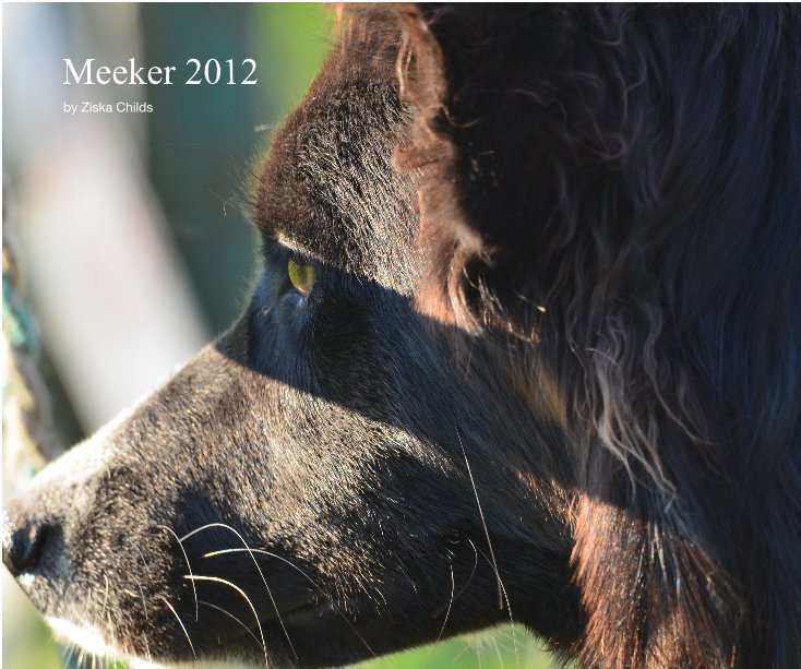 View Meeker 2012 by Ziska Childs