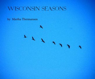 Wisconsin Seasons book cover