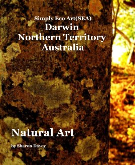 Natural Art book cover