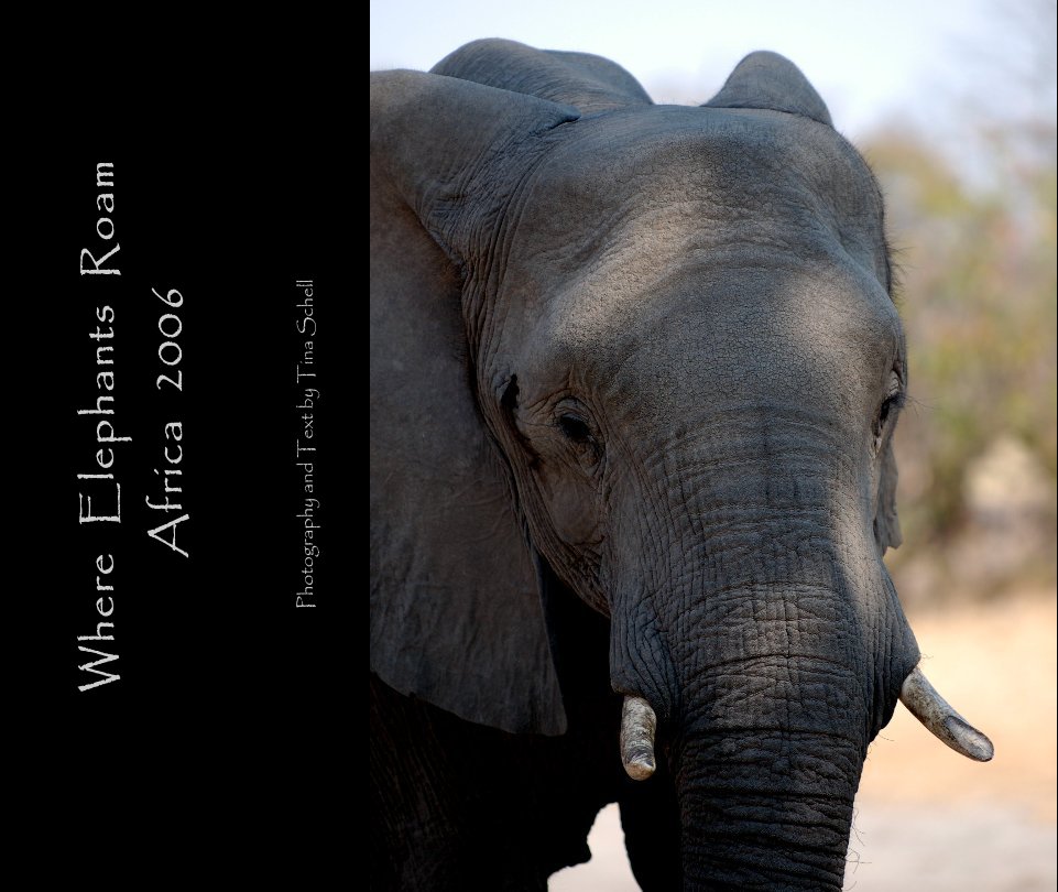 Bekijk Where  Elephants  Roam                      Africa  2006 op Tina R Schell