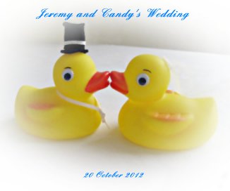 Jeremy and Candy's Wedding book cover