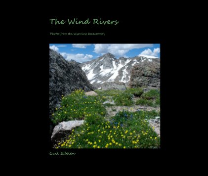 The Wind Rivers book cover