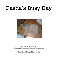 Pasha's Busy Day book cover