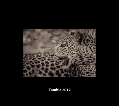 Zambia 2012 book cover