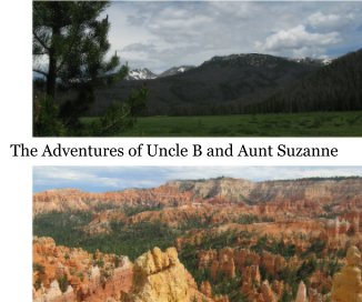 The Adventures of Uncle B and Aunt Suzanne book cover