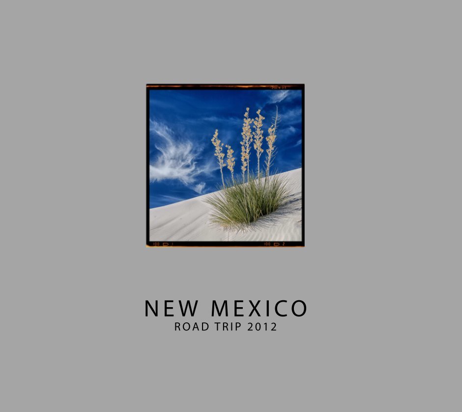 View New Mexico by Bruce Conque
