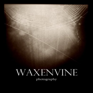 waxenvine book 2 book cover