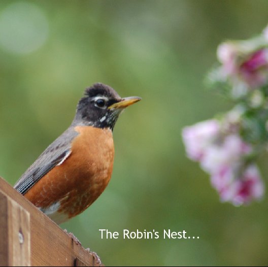 The Robin's Nest nach Wendy Jukich anzeigen
