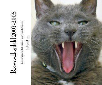 Brown-Hugdahl 2007-2008 book cover
