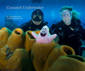 Cozumel Underwater book cover