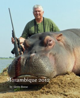 Mqzambique  2012 book cover