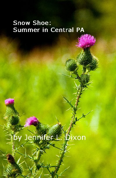 View Snow Shoe: Summer in Central PA by Jennifer L. Dixon