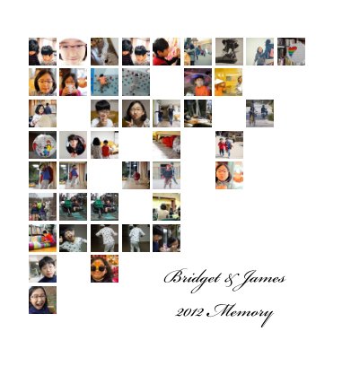 2012memory book cover