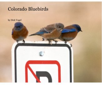 Colorado Bluebirds book cover