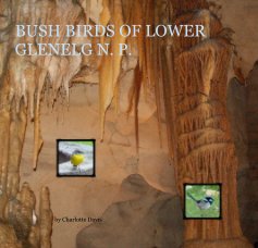 BUSH BIRDS OF LOWER GLENELG N. P. book cover