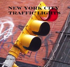 New York City Traffic Lights book cover