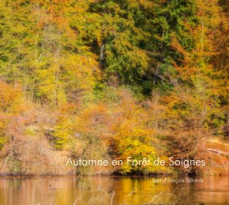 Automne en Forêt de Soignes book cover