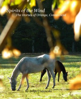 Spirits of the Wind The Horses of Orange, Connecticut book cover