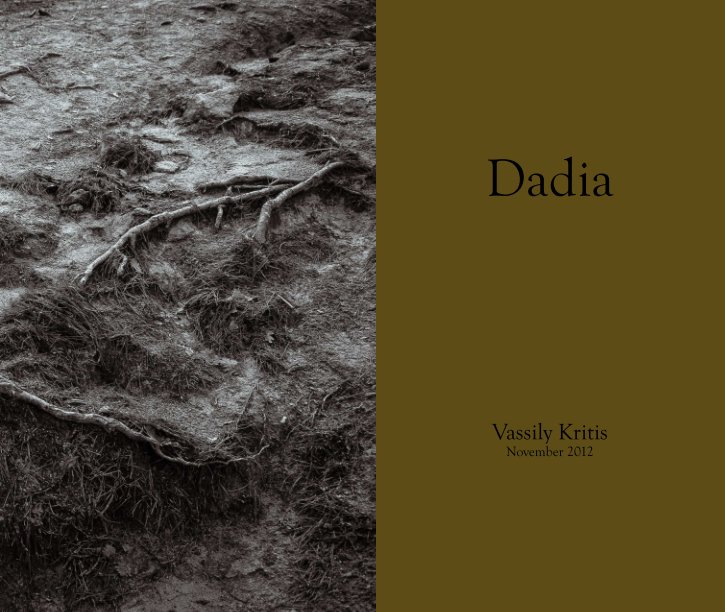View Dadia by V. Kritis