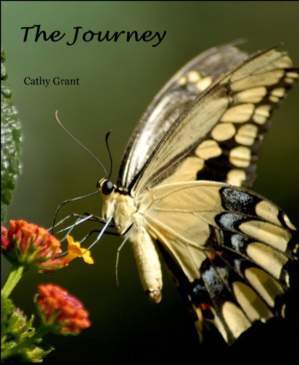 View The Journey by Cathy Grant