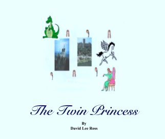 The Twin Princess book cover