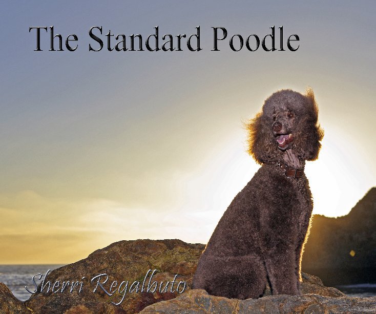 View The Standard Poodle by Sherri Regalbuto