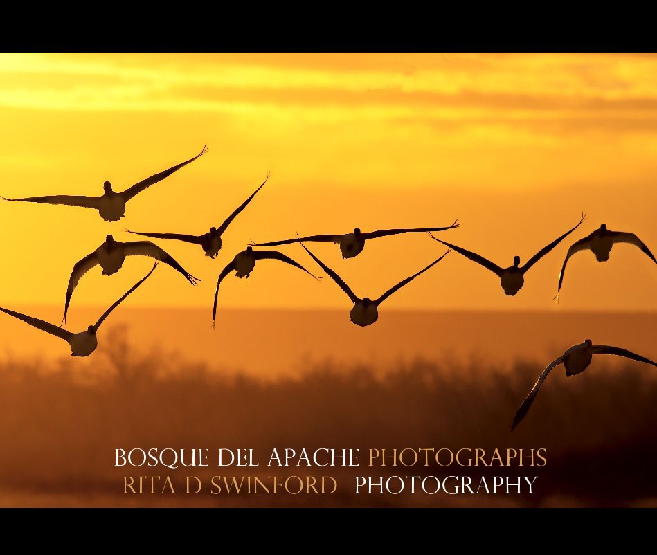 View bosque del apache photographs rita D Swinford Photography by rswinford