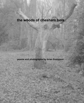 the woods of chesham bois book cover
