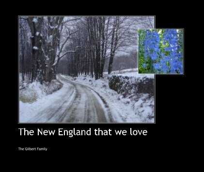 The New England that we love book cover