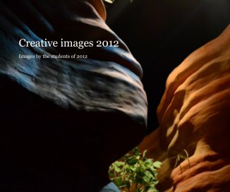 Creative images 2012 book cover