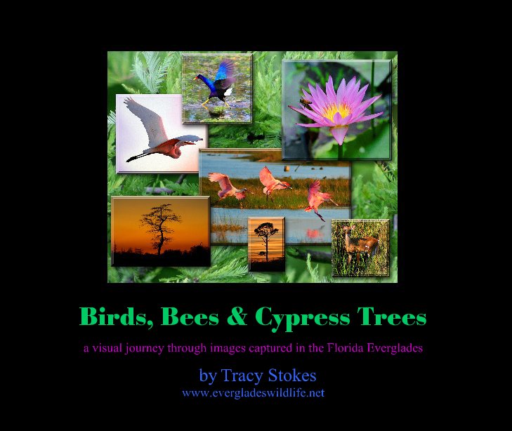 Birds, Bees & Cypress Trees nach Tracy Stokes by Tracy Stokes www.evergladeswildlife.net anzeigen
