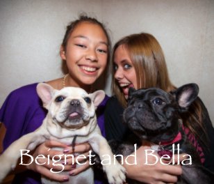beignet and bella book cover
