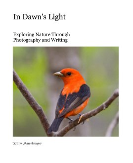 In Dawn's Light book cover