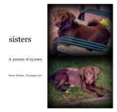 sisters book cover