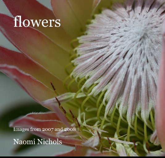 View flowers by Naomi Nichols