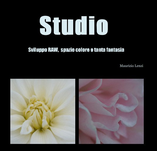 Ver Studio por Maurizio Lenzi