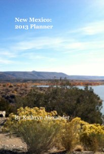 New Mexico: 2013 Planner book cover