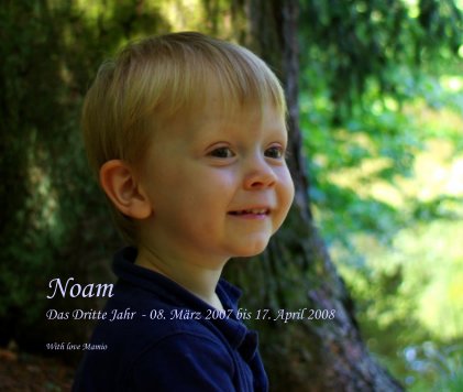 Noam Das Dritte Jahr - 08. MÃ¤rz 2007 bis 17. April 2008 book cover