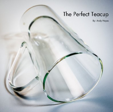 The Perfect Teacup book cover