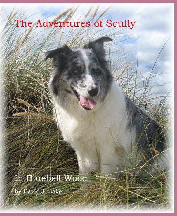 View The Adventures of Scully by David J. Baker