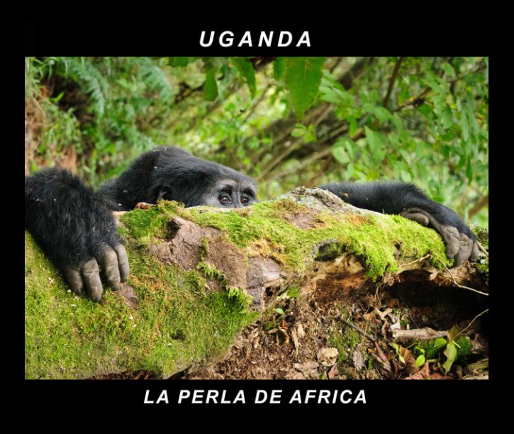 View UGANDA by Carlos Escribano