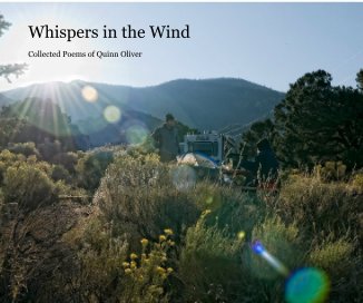 Whispers in the Wind book cover
