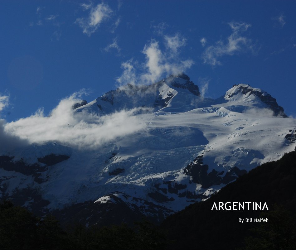 View ARGENTINA by Bill Naifeh