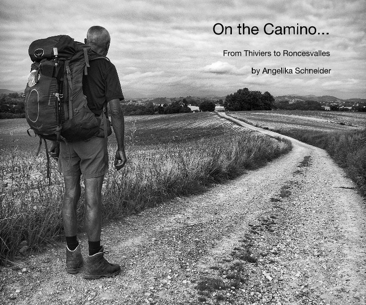 View On the Camino... by Angelika Schneider