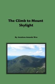 The Climb to Mount Skylight book cover