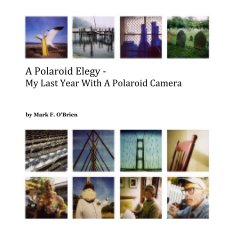 A Polaroid Elegy - My Last Year With A Polaroid Camera book cover