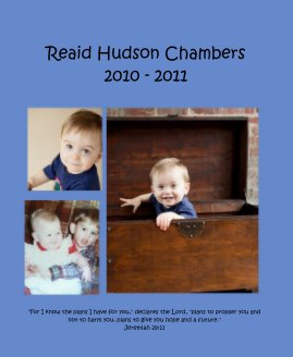 Reaid Hudson Chambers 2010 - 2011 book cover